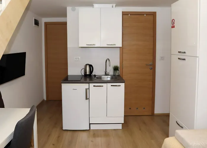 Apartment Pucee Downtown *